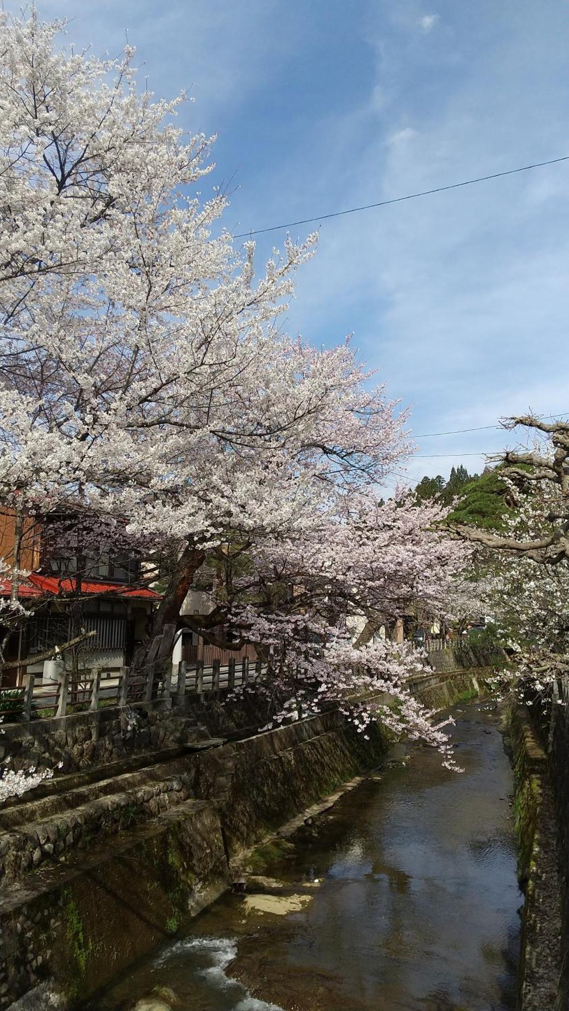 Daihachi Hotel Takayama  Eksteriør billede